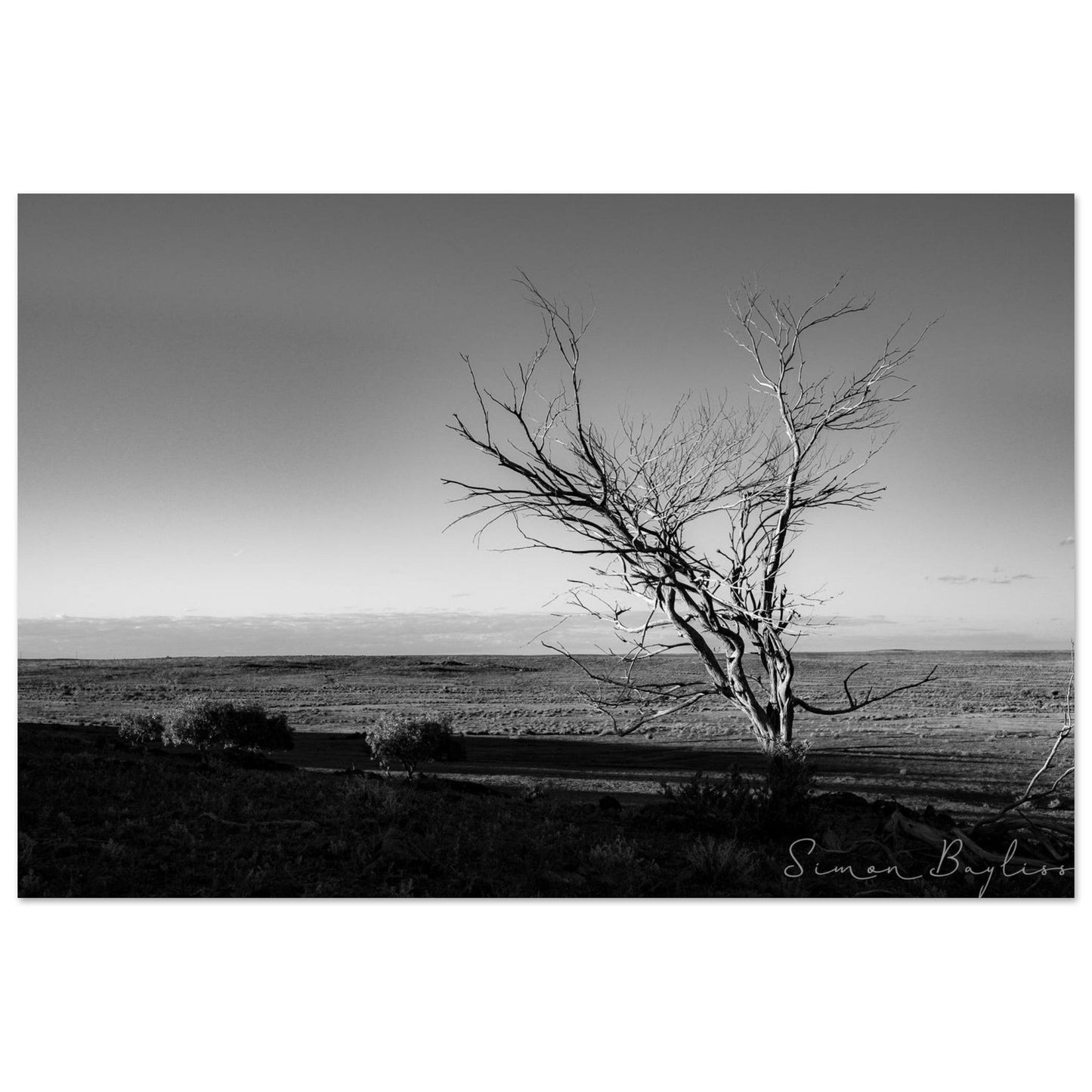 Sentry Plain | Landscape Print