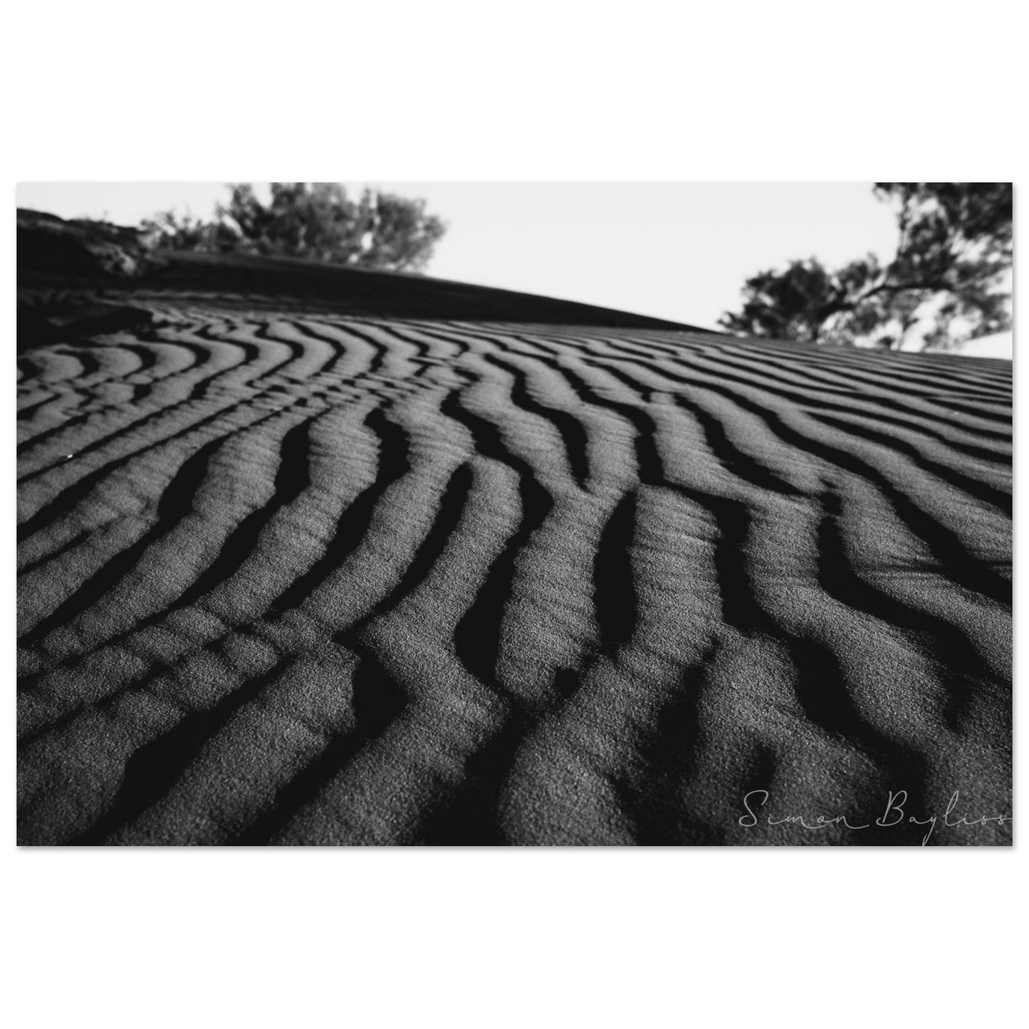 Horizon Lines | Vista Print
