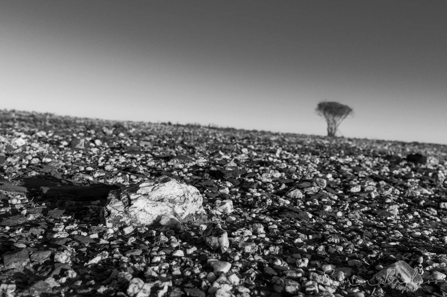 Quartz Tree