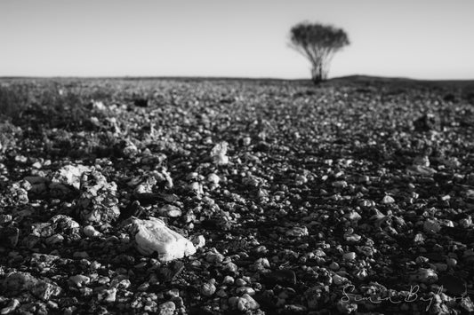 Quartz Field