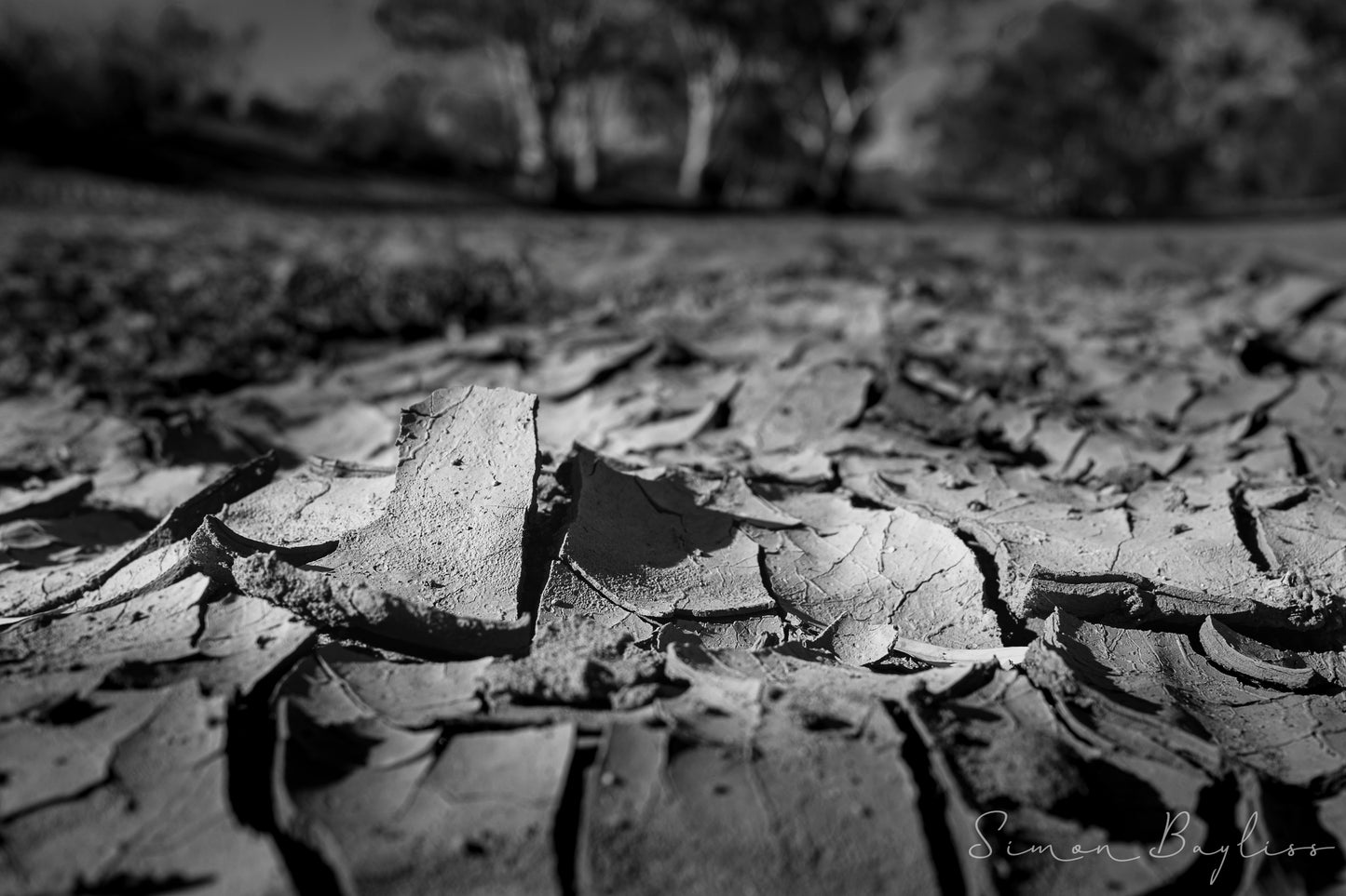 Dry Bed