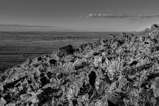 Rocky Vista