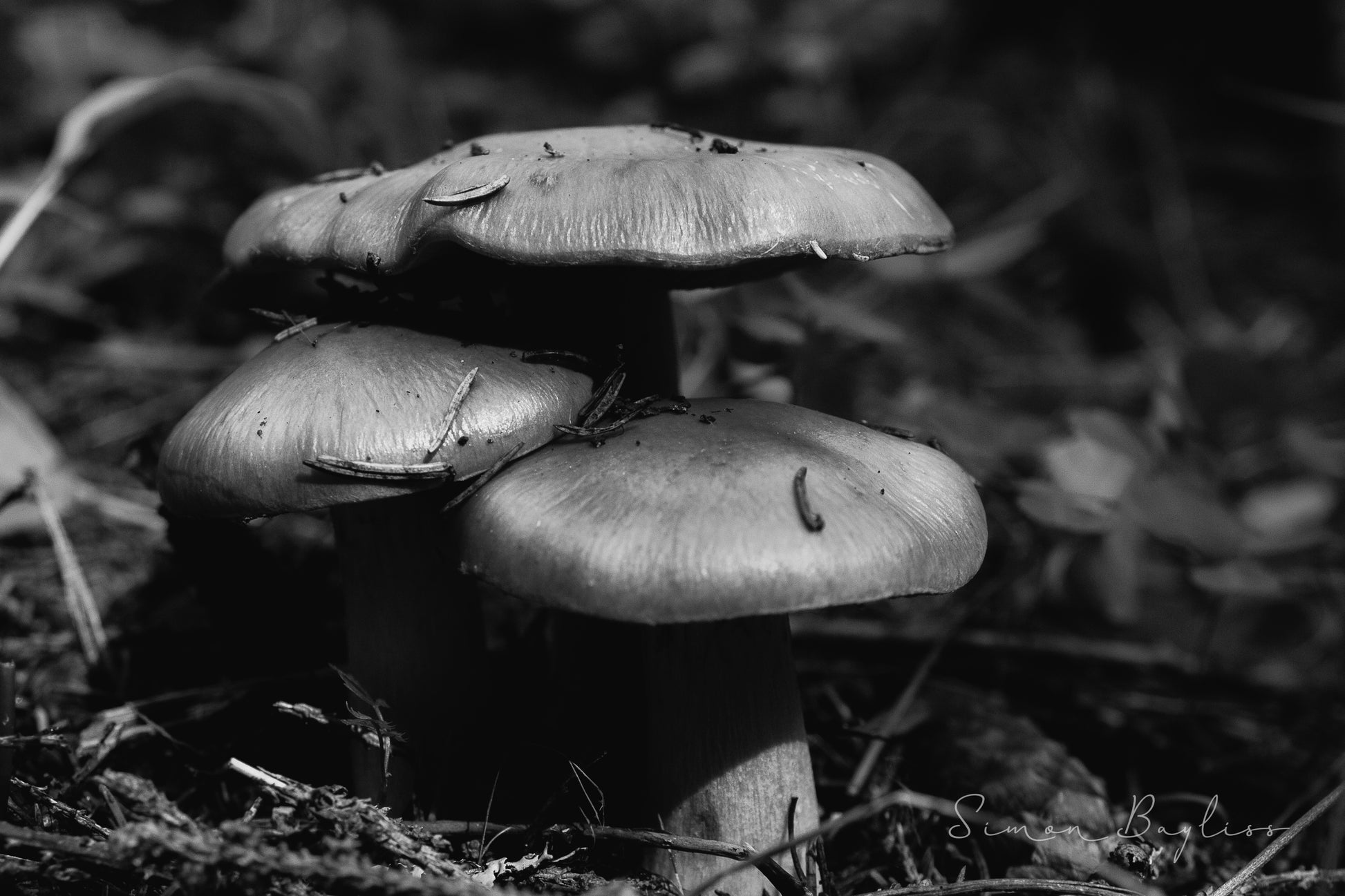 0821103f-8418-460f-a4c2-dc05e072f4a9